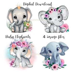 Babyolifant bundel bloemen babymeisje douche afdrukbare schattige olifant met rozen sublimatie ontwerpen 4 afbeeldingsbestanden bundel, png