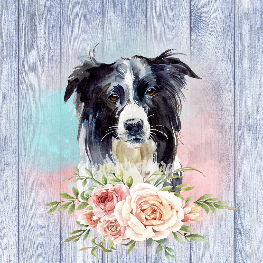 Border Collie & Roses PNG Clipart: Sublimation Design (digital Download ...