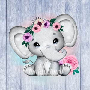 Cute floral baby elephant png sublimation design pink flowers elephant baby shower design blue flowers butterfly elephant clipart 2 designs