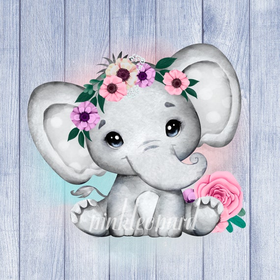 Lindo Floral Bebe Elefante Png Sublimacion Diseno Rosa Flores Etsy