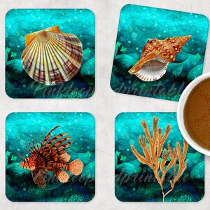 Ocean Sea Seashell Koralen 4 ONTWERPEN vierkante onderzetters retro zee vintage oceaan zeeleven nautisch groenblauw groen SJABLOON ontwerpen PNG bundel