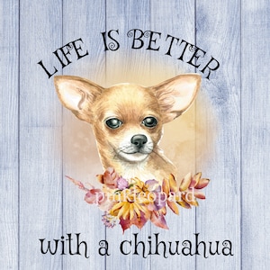 Życie jest lepsze z chihuahua png sublimacja projekt słodki szczeniak chihuahua clipart miłość chihuahua szczeniak pies grafika 2 warianty projektu