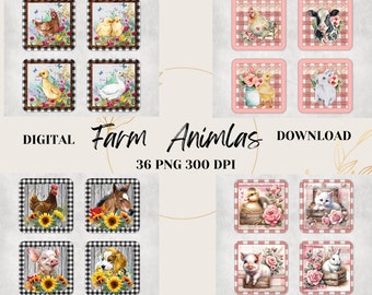 Farm Animals 36  DESIGNS Square Coasters TEMPLATES Kitten Duck Rabbit Cow Rooster iglet Farm Life Roses Sunflowers Pumpkin Templates Bundle