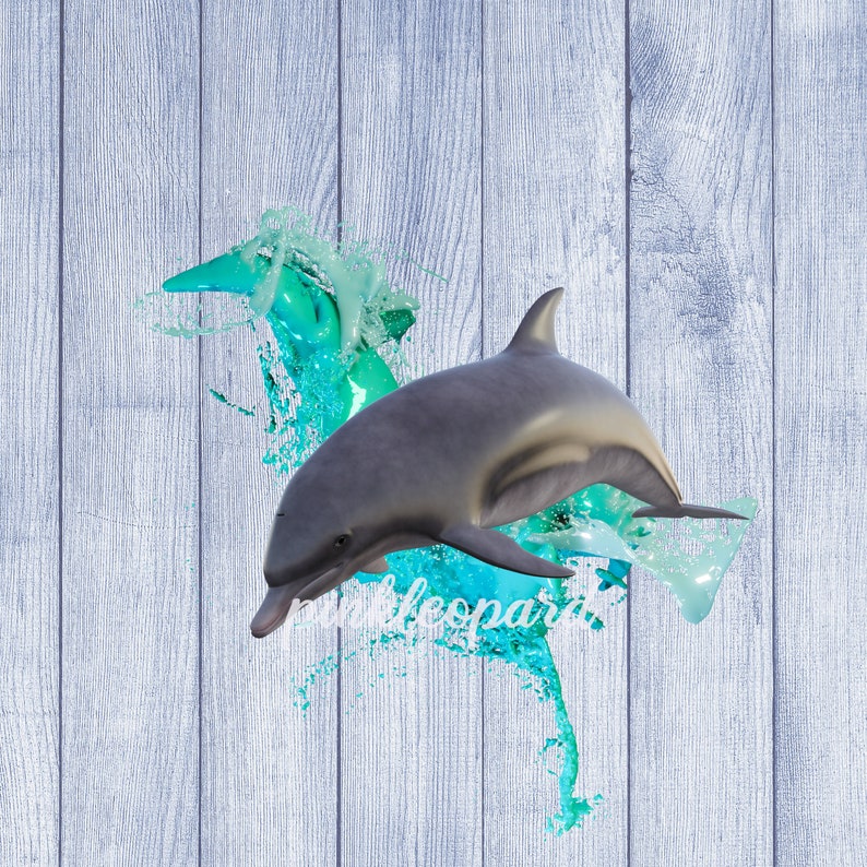 Dolphin splash png sublimation designs 2 designs pack | Etsy