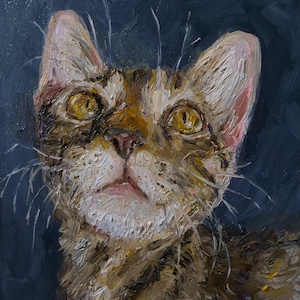 Original Oil Painting, 8x8in, Ready To Ship Art, Portrait, Face Art, Cat Painting