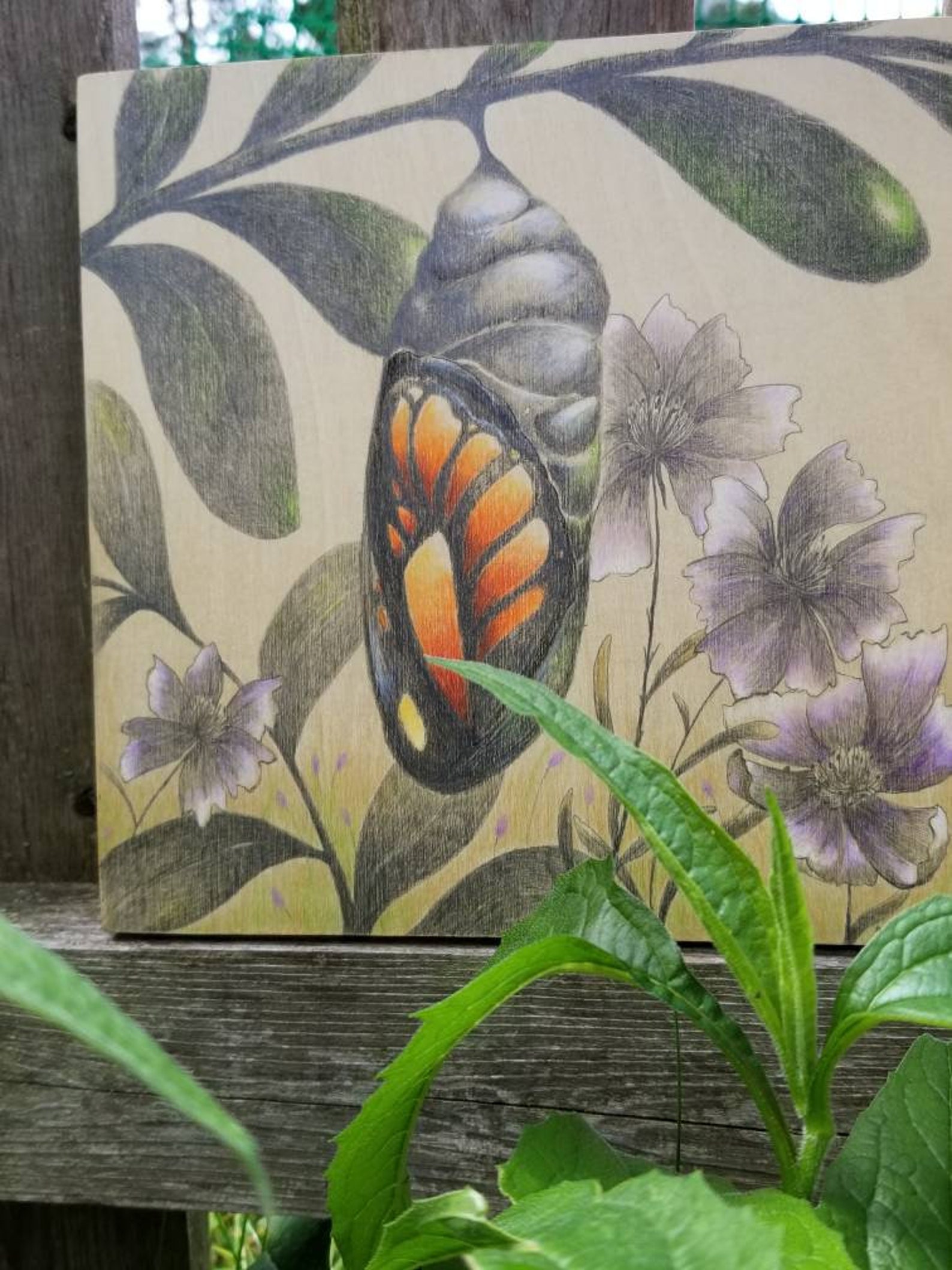 Butterfly chrysalis drawing Etsy