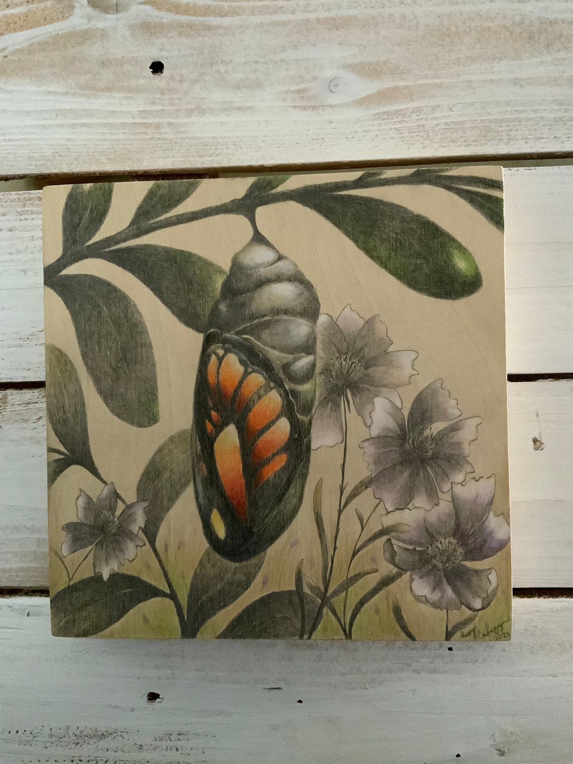 Butterfly chrysalis drawing Etsy