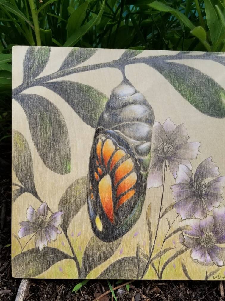 Butterfly chrysalis drawing Etsy
