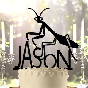 May include: Black silhouette of a praying mantis on top of a white cake with the name "JASON" written in black letters. The cake is on a wooden cake stand.