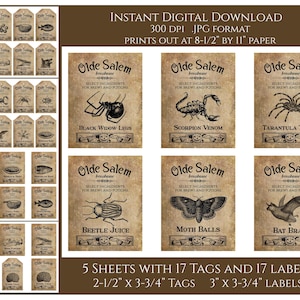 Halloween Witch Brew Potion Labels Tags Digital Instant Download Printable Country Primitive JPG Images Crafting Printables