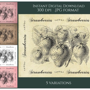 Farmhouse Digital Instant Download Printable Country Primitive Transfer JPG Image Tags Label Kitchen Strawberries