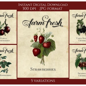 Farmhouse Digital Instant Download Printable Country Primitive Transfer JPG Image Tags Farm Fresh Berries