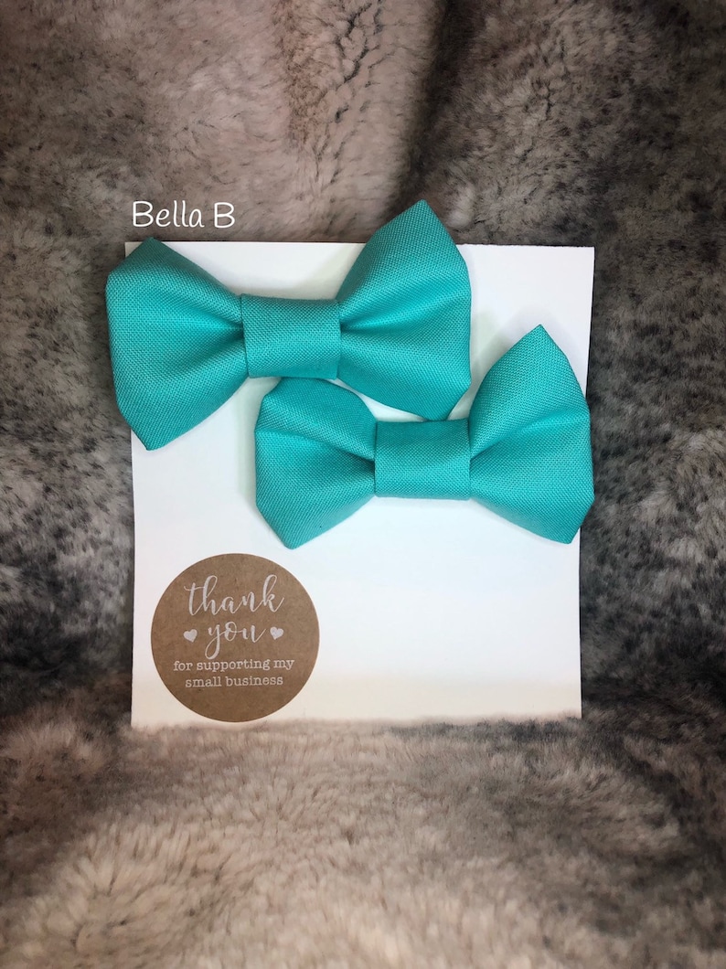 Turquoise Pig Tail Bow
