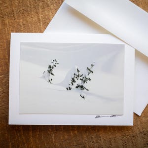 Three Little Trees - Six Card Set