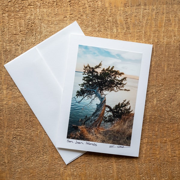 Resilience - San Juan Islands Tree - Folding 5x7 Note Card