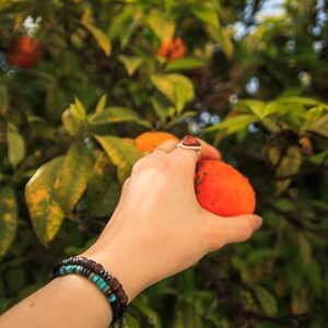 Two custom bracelets with Morse code message, photographed on wrist with Orange tree in the background.