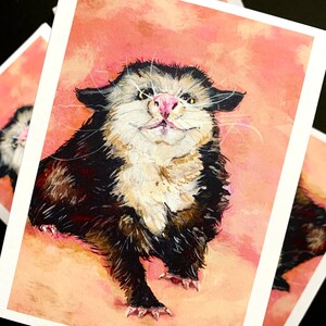 Ensemble de cartes de notes Trashy Possum