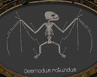 Vampire Bat Skeleton faux taxidermy - Desmodus rotundus vulture culture, Victorian gothic dark art cottagecore - PDF Download