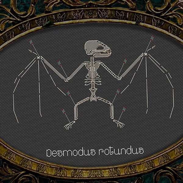 Vampir Fledermaus Skelett faux Präparatoren - Desmodus rotundus Geier Kultur, Gothic Dark Art Cottagecore - PDF Download