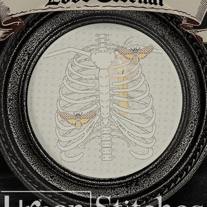 Può includere: Un disegno di ricamo in bianco e nero di una gabbia toracica con tre falene, due con ali gialle e una con ali arancioni. Il disegno è incorniciato in una cornice nera ornata con il testo "Love Eternal" sopra e "Urban Stitches" sotto.