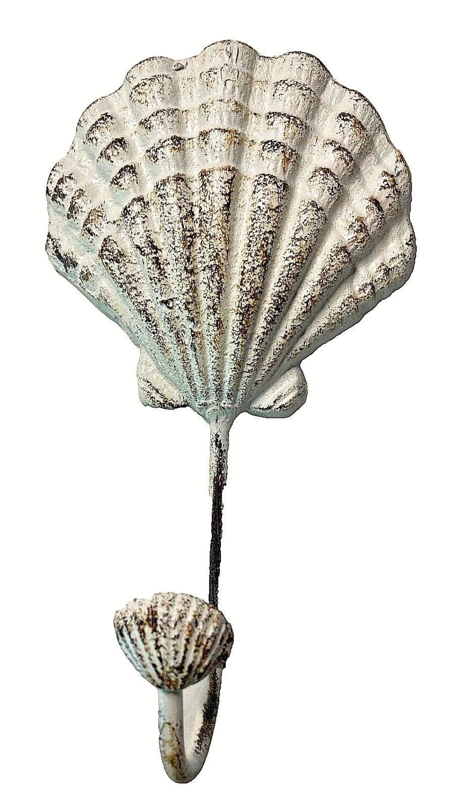 Old Sea Shells - Etsy Old Sea Shells - Etsy