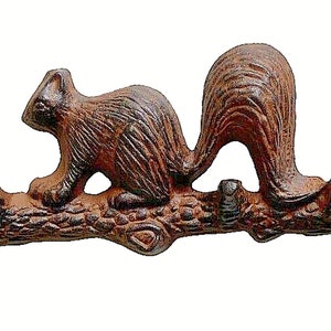 Squirrel Key Hook Etsy