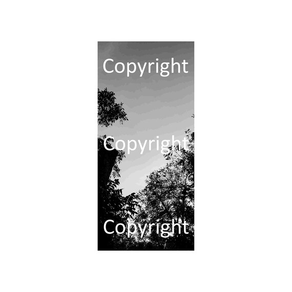 Apple Iphone 11 Pro Black And White Landscape Series 1 1 Etsy Apple Iphone 11 Pro Black And White Landscape Series 1 1 Etsy