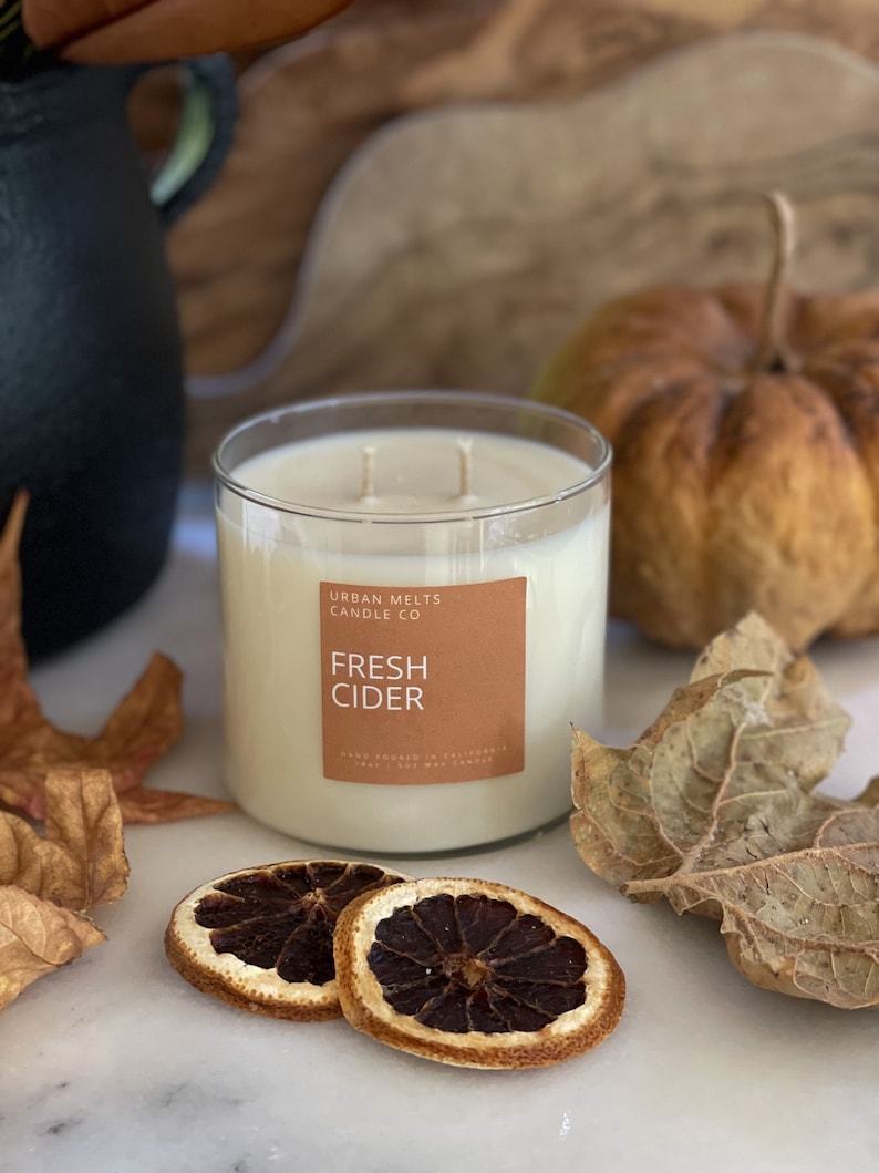 May include: A clear glass candle jar with a white candle inside. The candle has two wicks and a label that reads "Urban Melts Candle Co. Fresh Cider". The candle is surrounded by fall-themed decor, including dried orange slices, leaves, and a small pumpkin.
