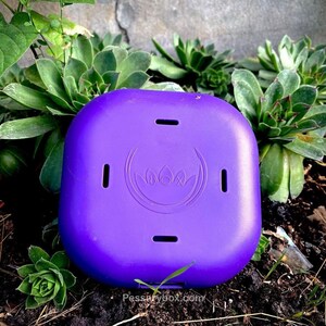 May include: A purple, square-shaped container with a lotus flower design and the word "box" inscribed in the centre. The container has four small holes around the edges.
