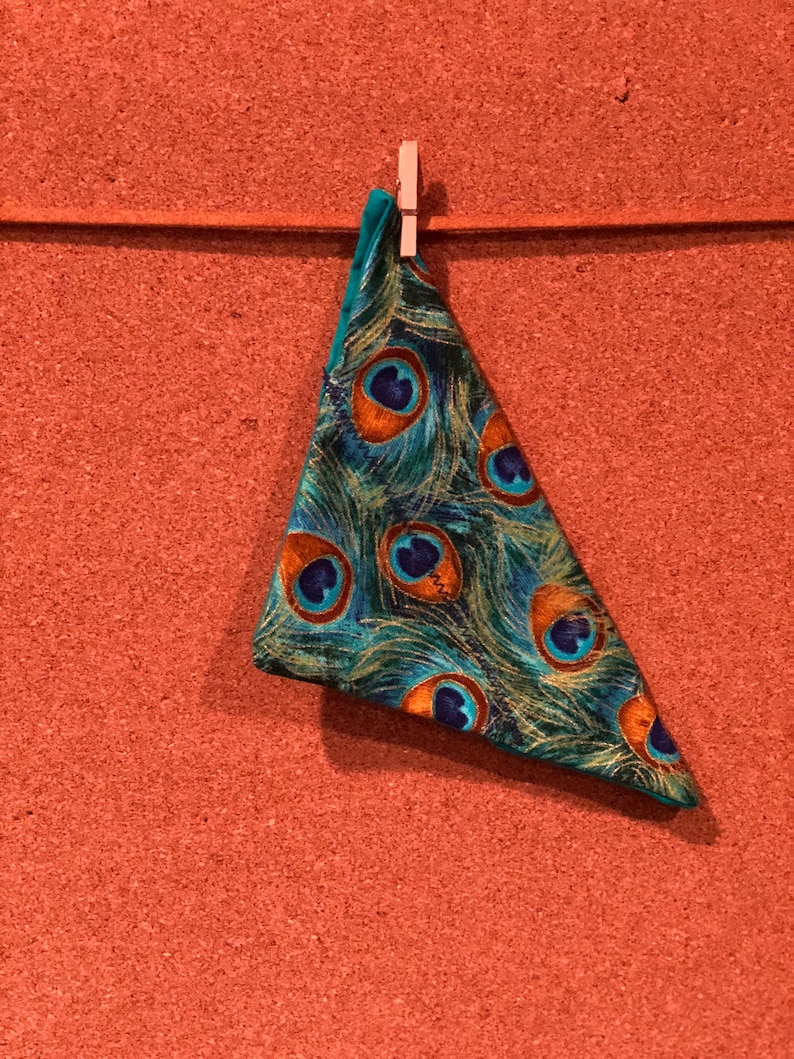 5 Peacock Feather Pet Bandana