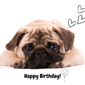 cartão de feliz aniversário para cachorro pug, cartão de aniversário para cachorro pug, cartão de aniversário digital para amante de cachorro, cartão de aniversário para amante de pug