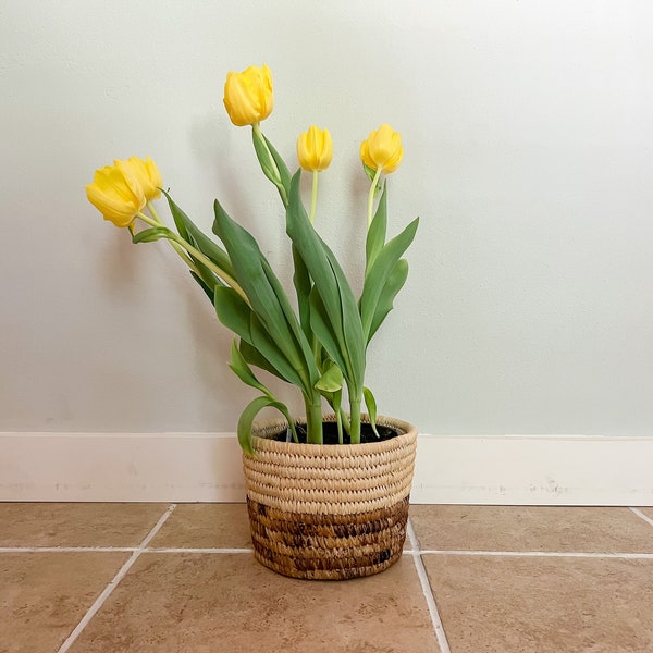 Handwoven Planter, Natural Palm Leaf, Boho Planter, Sustainable Decor