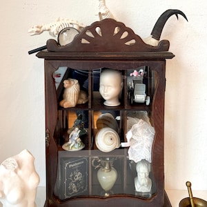 Wunderkammer, Kuriositätensammlung, Kuriositätenkabinett, Kuriositäten und Kuriositäten, Museumsausstellung, Kuriositätenregal mit Nippes, Wandkunst