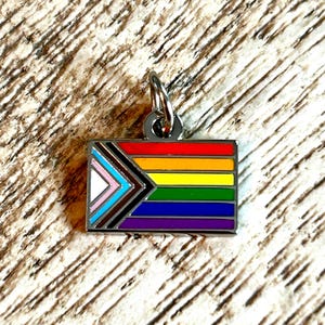 May include: A rectangular silver charm with a rainbow flag design, featuring red, orange, yellow, green, blue, and purple stripes. The design includes a white, pink, light blue, brown, and black chevron. The charm has a small silver loop at the top.