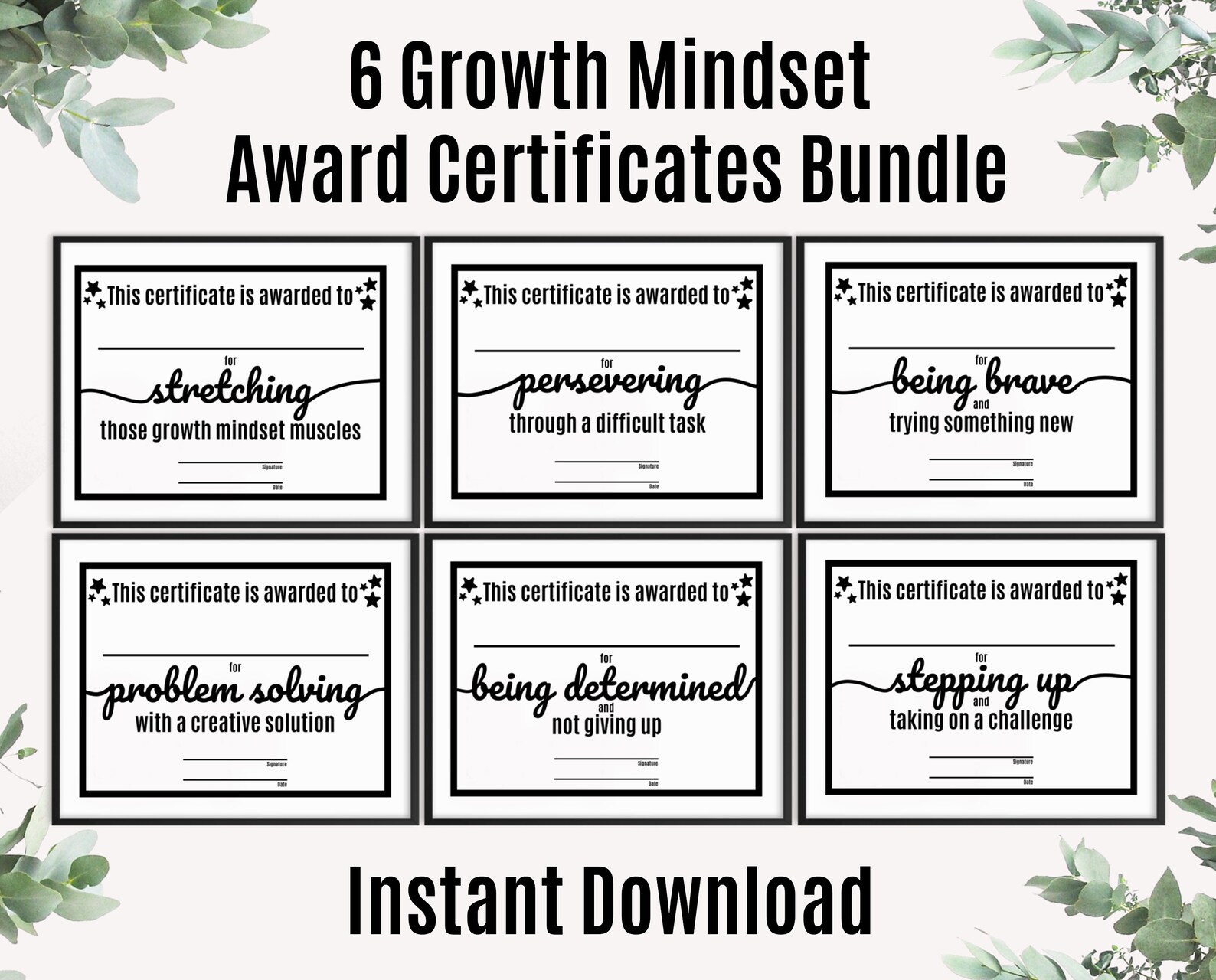 6 Growth Mindset Printable Classroom Award Certificates Bundle ...