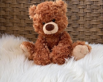 Bear stuffed animal-clean out sale