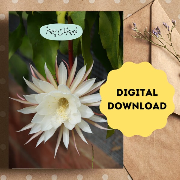 Celebrate Nowruz with the Enchanting Queen of the Night Greeting Cards. Digital downloads. Flowers Featuring Marzi's Garden Photography.