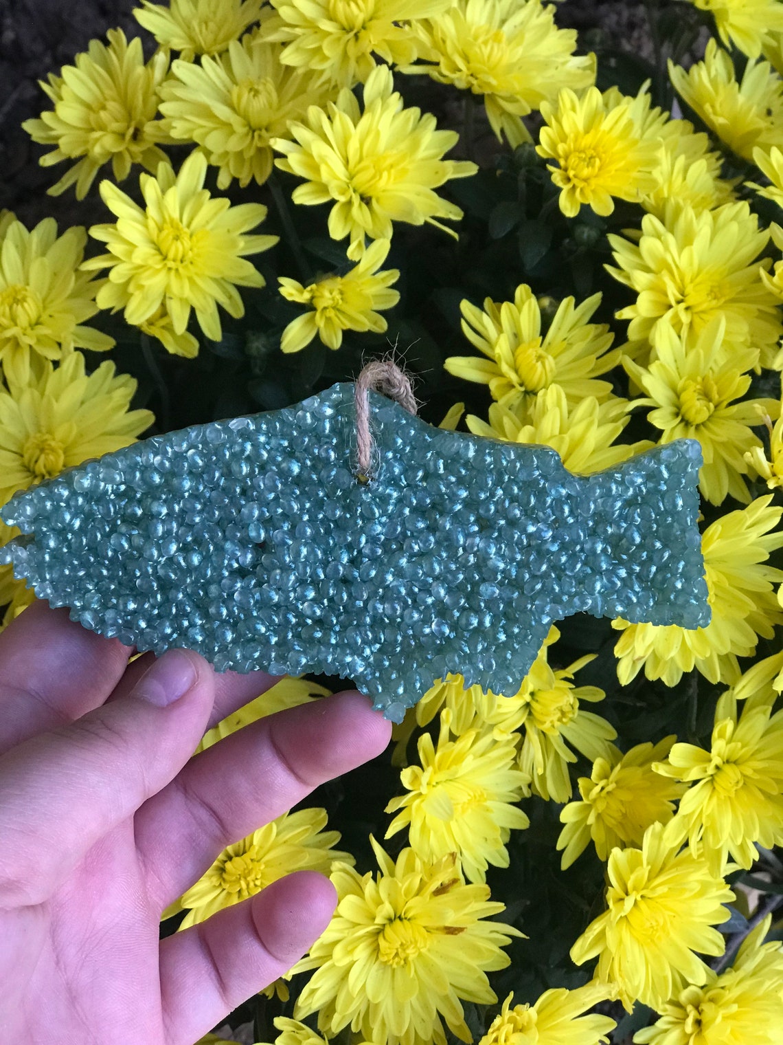 Air Freshenerfishchoose Scent & Colorcar Scentcar Air Etsy