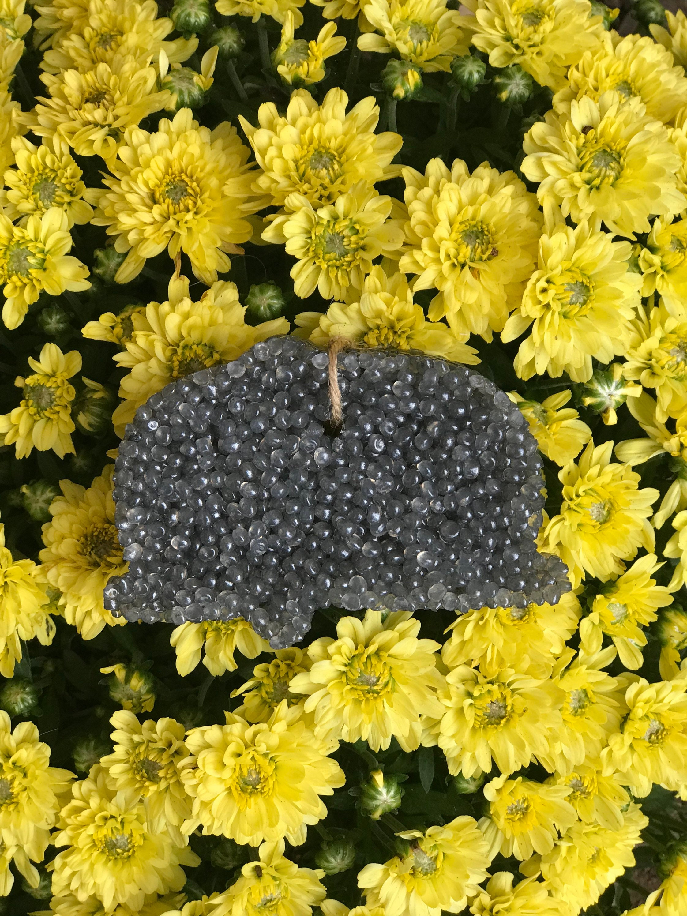 Air FreshenerCamper Choose Scent & ColorCar FreshiesCar Etsy