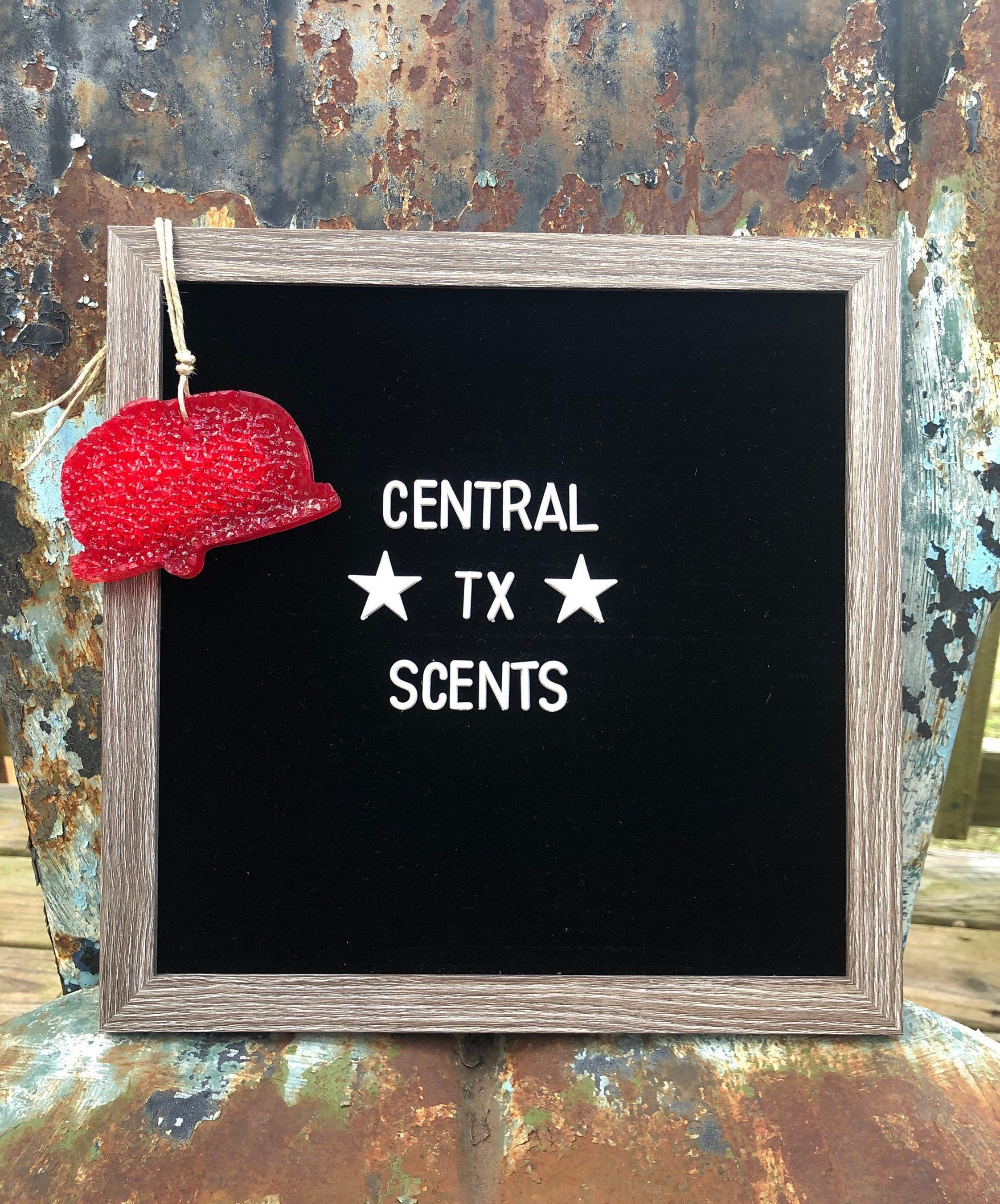 Air Freshenercamper choose Scent & Colorcar Scentcar Air Etsy