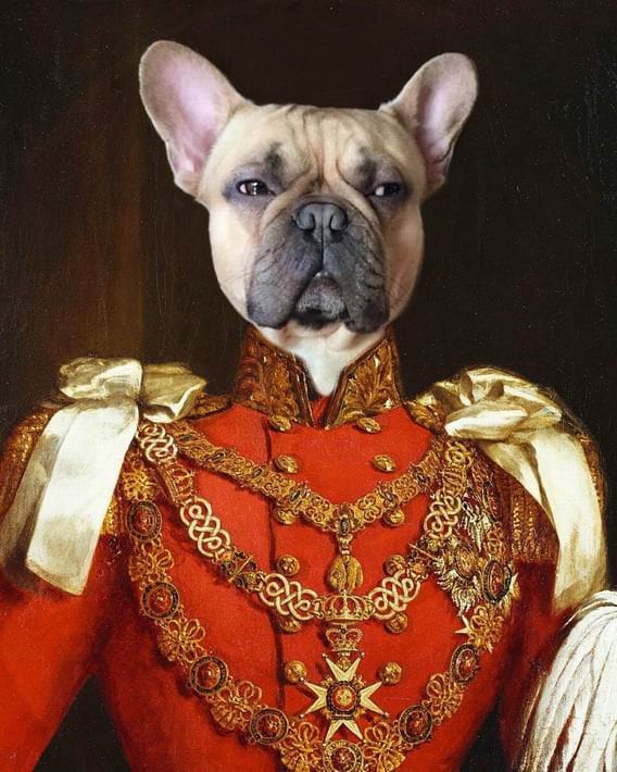 Custom Dog Portrait in Military Uniform Custom Pet Portrait Etsy