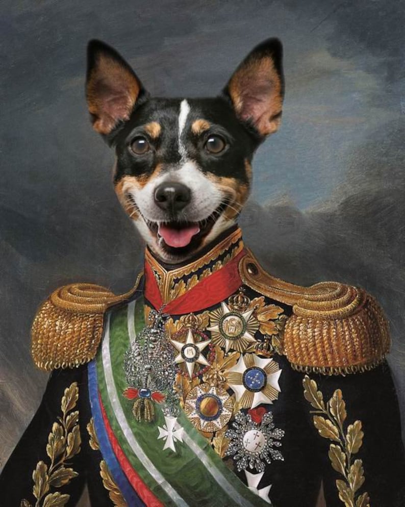 Custom Pet Portrait Custom Dog Portrait in Military Uniform Etsy