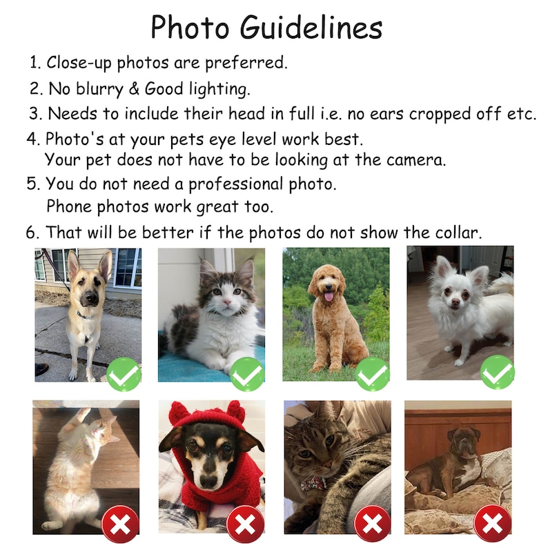 May include: A guide with photos of pets, showing examples of good and bad photos for pet portraits. The guide includes tips for taking good photos of pets, such as using good lighting, taking close-up photos, and including the pet's head in full.