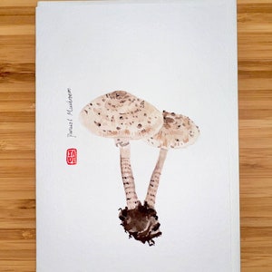 Parasol mushroom, Watercolor  5"x7" Greeting Card Edible Mushroom, Original watercolor card, Card with Envelope, Blank Card.