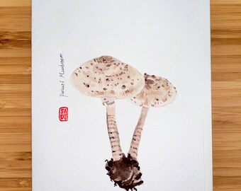 Parasol mushroom, Watercolor  5"x7" Greeting Card Edible Mushroom, Original watercolor card, Card with Envelope, Blank Card.