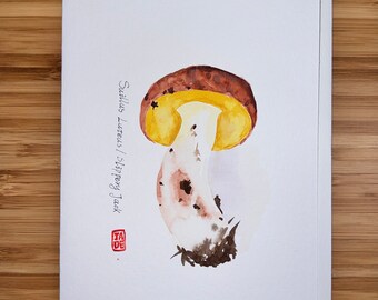Suillus Luteus, Watercolor  5"x7" Greeting Card Edible Mushroom, Original watercolor card, Card with Envelope, Blank Card.