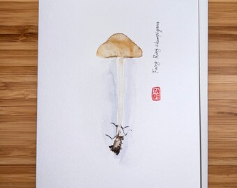 Parasol mushroom, Watercolor  5"x7" Greeting Card Edible Mushroom, Original watercolor card, Card with Envelope, Blank Card.
