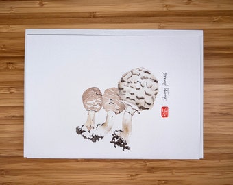 Parasol mushroom, Watercolor  5"x7" Greeting Card Edible Mushroom, Original watercolor card, Card with Envelope, Blank Card.