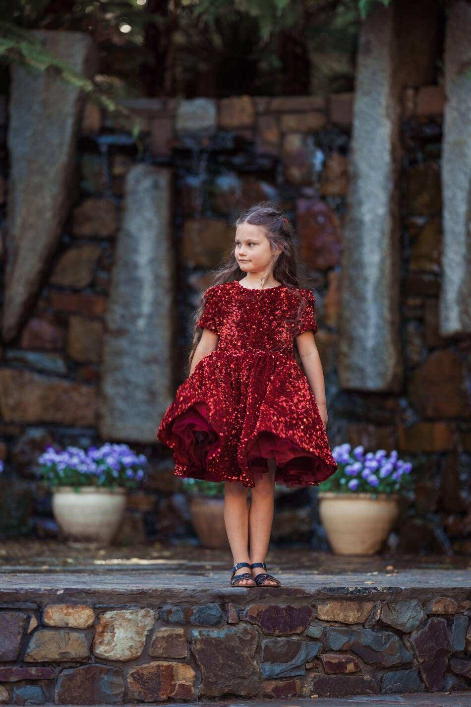 Indi Burgundy Sequins Fancy Party Dress 
