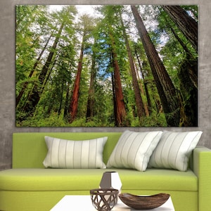 California Sequoia Trees Canvas, Redwoods State Park Print, Forest Poster